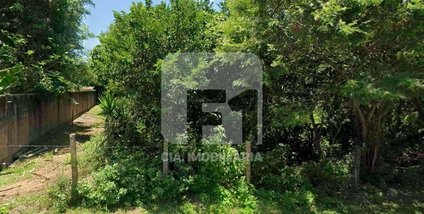 land_lot em Servidão Pedro Manoel Borba, Pântano do Sul - Florianópolis - SC