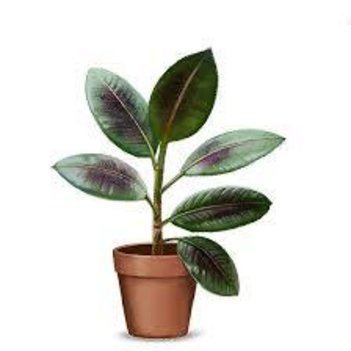 office em Portugal, Santa Amélia - Belo Horizonte - MG