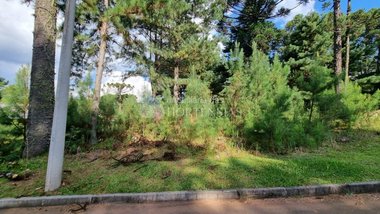 land_lot em Rua Waldi Kich, Dutra - Gramado - RS