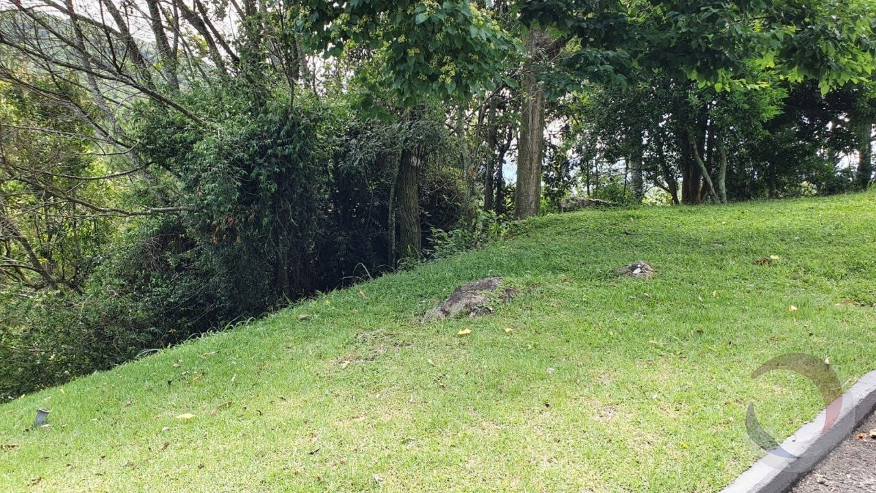 image_6483441 (3)