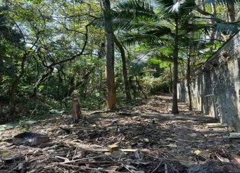 commercial_land_lot em Rua Oneda, Planalto - São Bernardo do Campo - SP