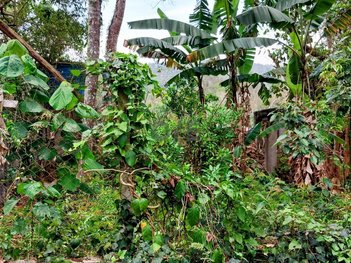 land_lot em Rua Dolores Duran, Transurb - Itapevi - SP