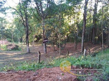 land_lot em Maria Altina, Hípica - Porto Alegre - RS