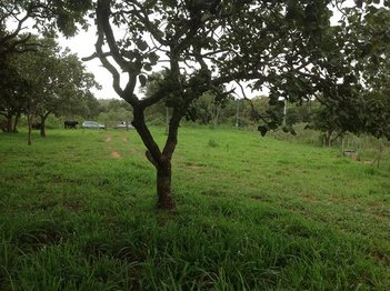 land_lot em Avenida Antônio Gonçalves Júnior, Jardim Candidés - Divinópolis - MG