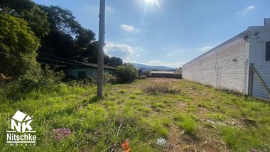 land_lot em Rodovia RS-239, Centro - Sapiranga - RS