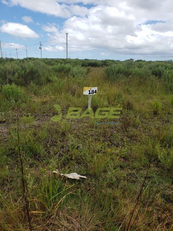 land_lot em Fernando Osório, Três Vendas - Pelotas - RS