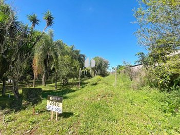 land_lot em Rua Constante Werenchuk, Central - Santa Rosa - RS