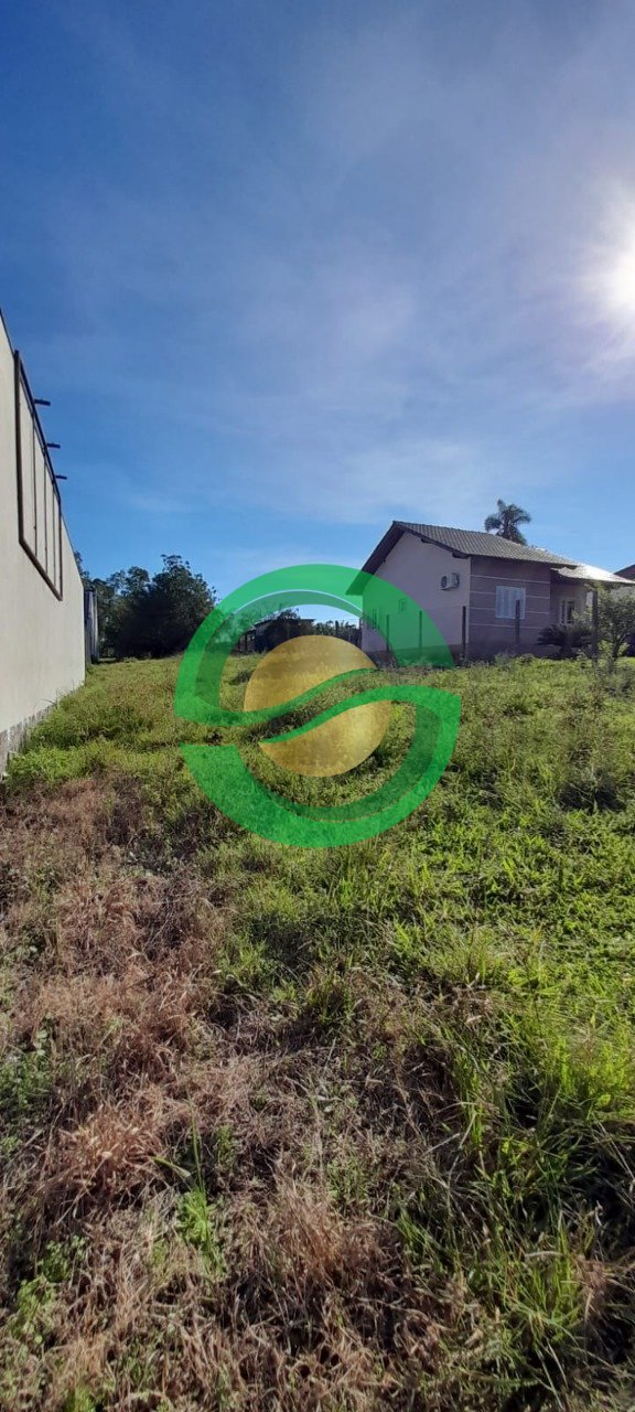 WhatsApp Image 2023-07-31 at 15.44