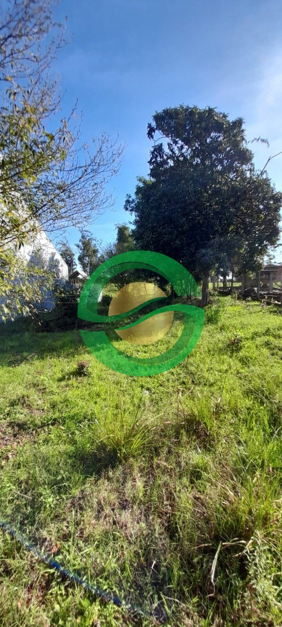 WhatsApp Image 2023-07-31 at 15.44