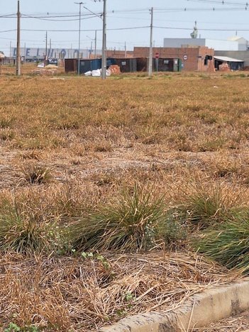 land_lot em Rua Jose Antonio Pontello, Cidade Nova - Sorriso - MT