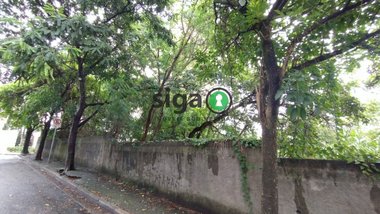 land_lot em Rua João Baldinato, Vila Suzana - São Paulo - SP