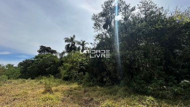 land_lot em Estrada Kem Saito, Cocuera - Mogi das Cruzes - SP