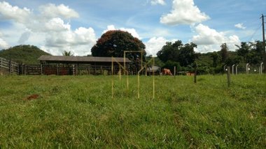 agricultural em Avenida Tiradentes, Centro - Monte Alegre de Minas - MG