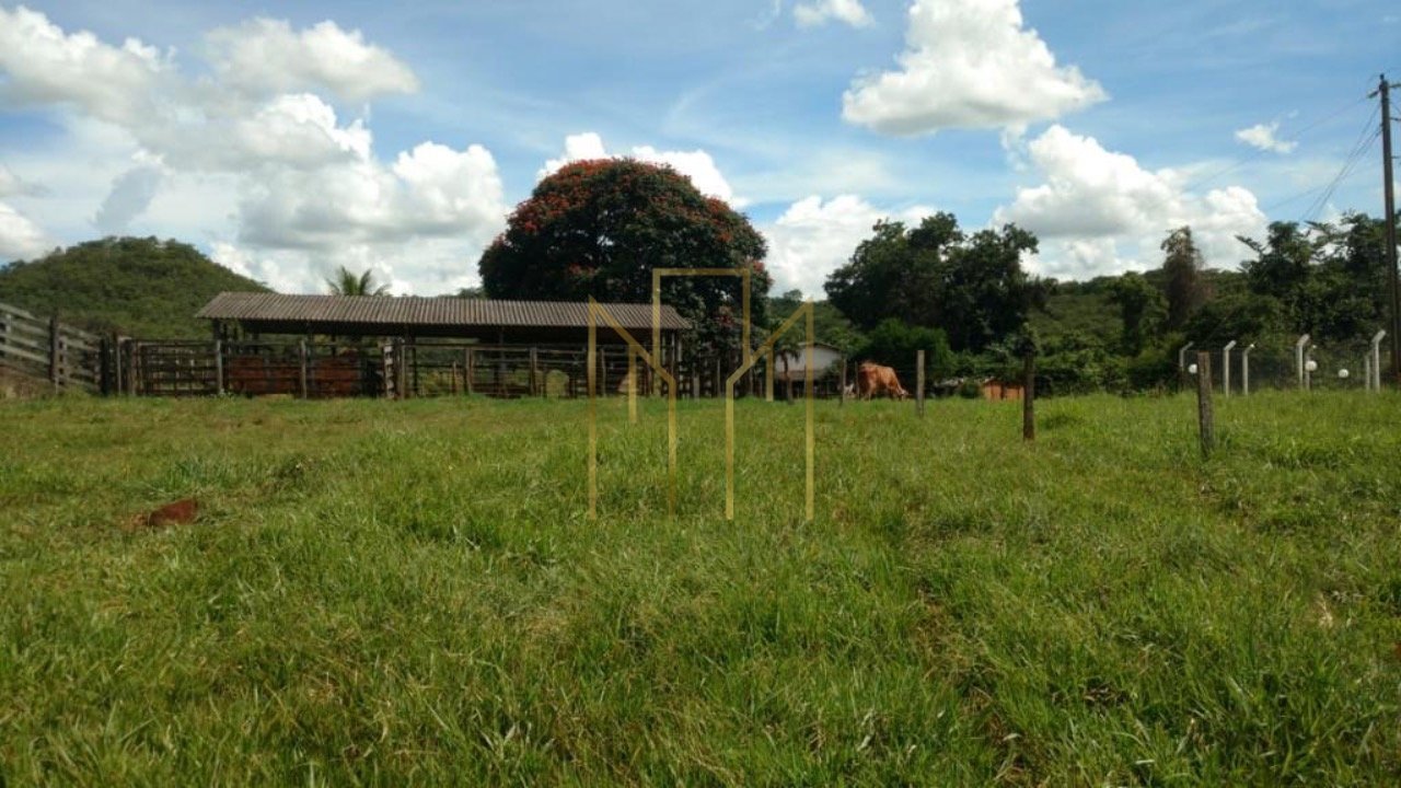 Foto 01