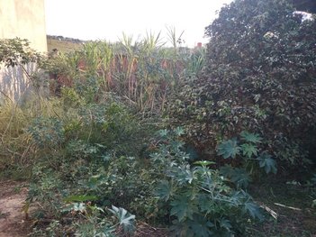 land_lot em Rua Torquato Ferreira Lima Filho, Jardim Paulista - Monte Mor - SP