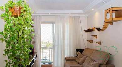 apartment em Rua Solidônio Leite, Vila Ivone - São Paulo - SP