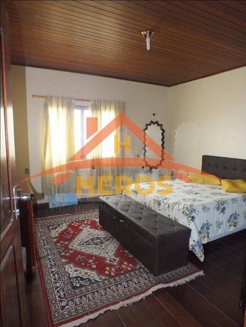 commercial_property em Avenida Economista Nilo Wulff, Restinga - Porto Alegre - RS