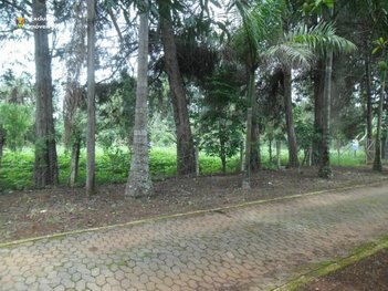 land_lot em Estrada do Sol, Condomínio Serra Verde - Igarapé - MG