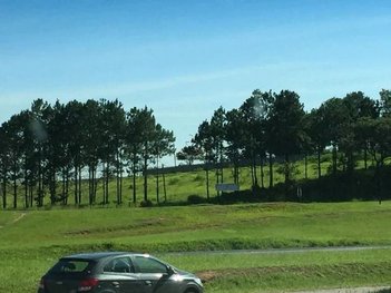 land_lot em Rua Flôr do Carvalho, Éden - Sorocaba - SP