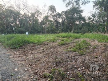 land_lot em Rua Amélia Cezário Felipe, Jardim Angélica - Criciúma - SC