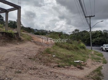 land_lot em Avenida Professor Oscar Pereira, Cascata - Porto Alegre - RS