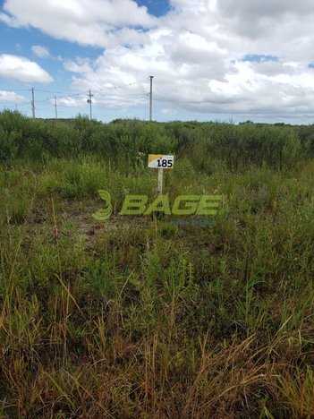 land_lot em Avenida Fernando Osório, Três Vendas - Pelotas - RS