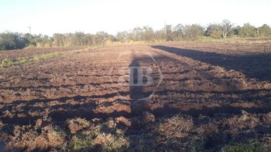 agricultural em Boa Vista, Belém Novo - Porto Alegre - RS