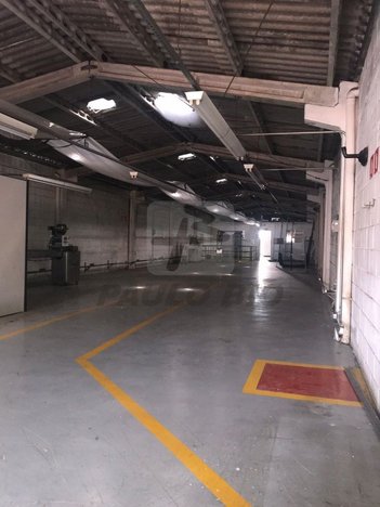 industrial em do Reno, Vila Moinho Velho - São Paulo - SP