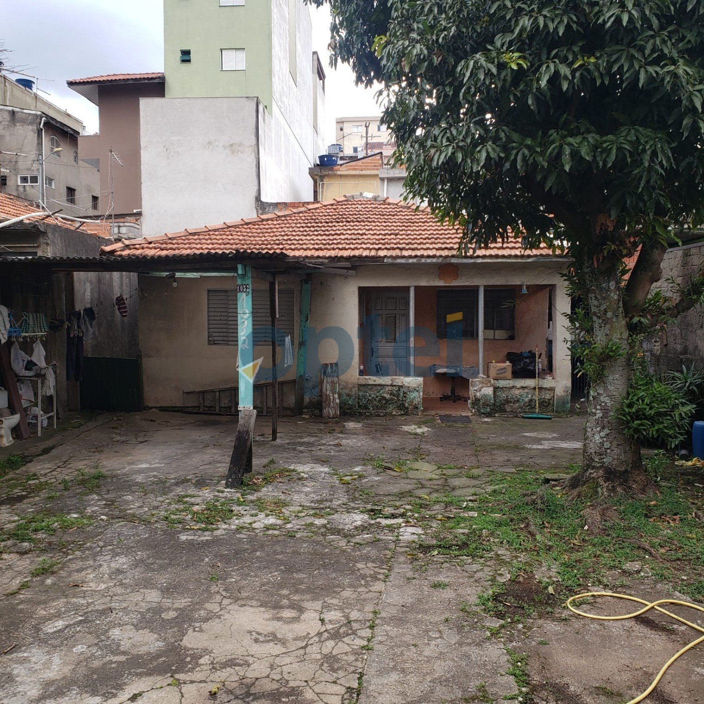image-0