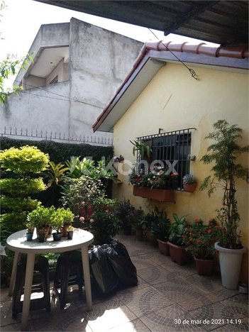 house em Rua Hortensia, Vila Mariza Mazzei - São Paulo - SP