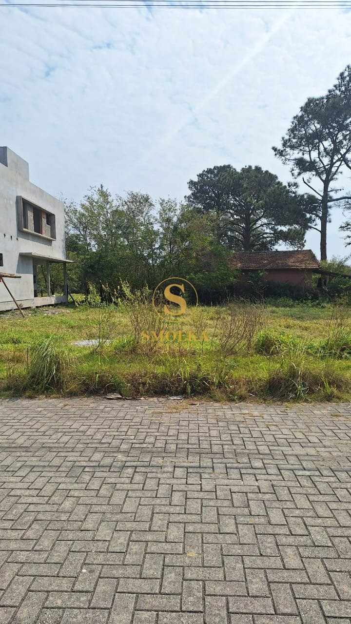 Foto terreno 2