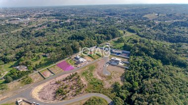 land_lot em Rua Paulo Szteinke, Planta Almirante - Almirante Tamandaré - PR