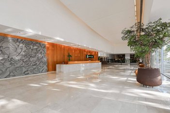 business em Lemos Monteiro, Butantã - São Paulo - SP