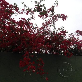 apartment em Rua Rio Duas Barras, Vila Prudente - São Paulo - SP