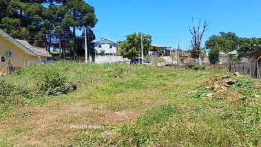 land_lot em Rua Porto Alegre, Mato Queimado - Gramado - RS
