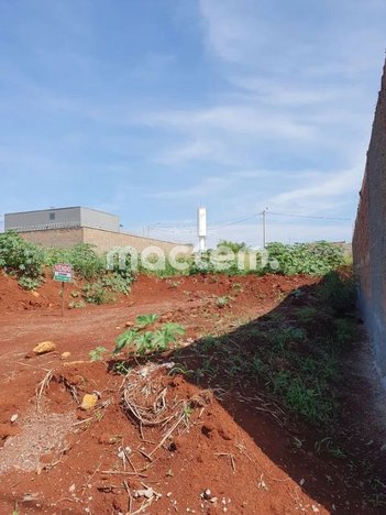 land_lot em Rodovia SP 328, Bonfim Paulista - Ribeirão Preto - SP