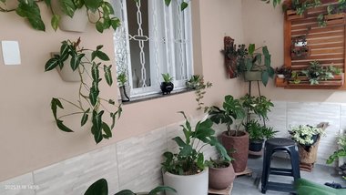 house em Rua Monte Alverne, Santa Mônica - Belo Horizonte - MG