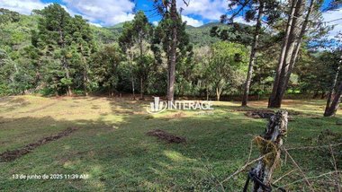land_lot em Estrada Principal da Conceicao, Campo Magro - Campo Magro - PR