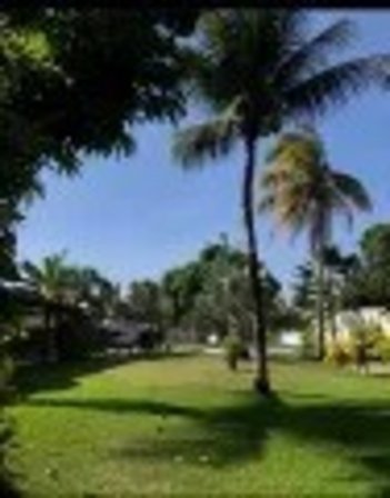 agricultural em 3ª Travessa Costa Nabal, Cidade Universitária - Maceió - AL