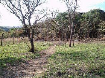 land_lot em Rodovia Raposo Tavares, Jundiacanga - Araçoiaba da Serra - SP