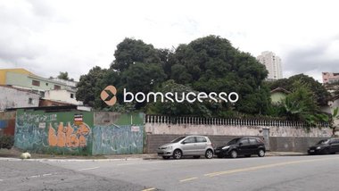 land_lot em Rua Jaboticabal, Vila Bertioga - São Paulo - SP