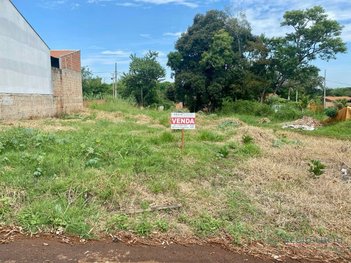 land_lot em Rua José de Oliveira Lima, Jataizinho - Jataizinho - PR
