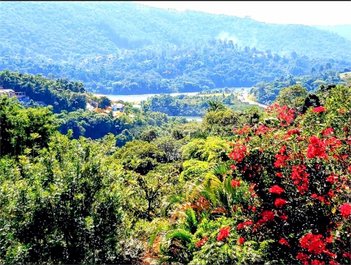 land_lot em Estrada Delegado Arcy de Castro Oliveira Vicente, Rio Abaixo - Mairiporã - SP