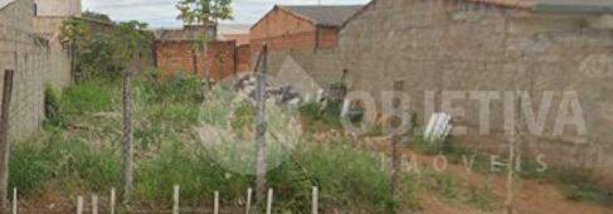 land_lot em Rua Luiz Roberto Alcântara, Alto Umuarama - Uberlândia - MG