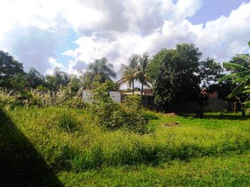 land_lot em Estrada Fazenda Dona Antonia, Campestre - Piracicaba - SP
