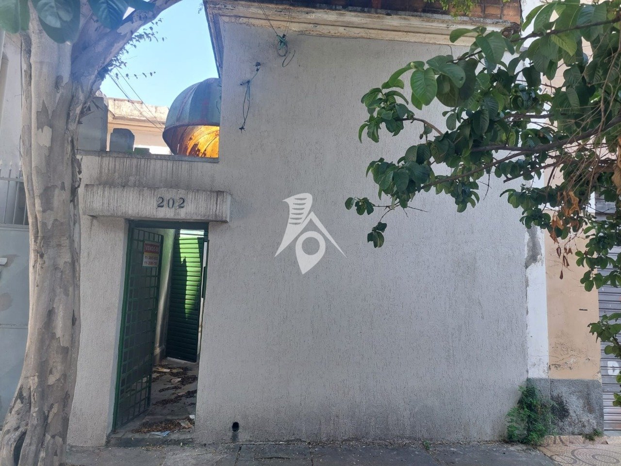 IMG-20241125-WA0012