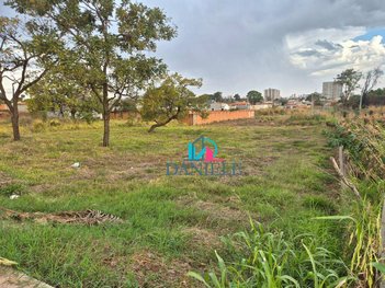 land_lot em Avenida Sílvio Cruz, Jardim Maria Luiza - Araraquara - SP