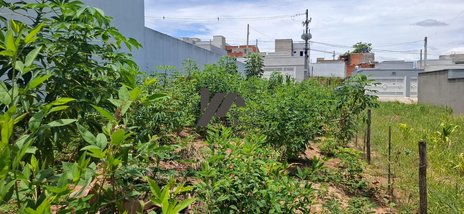 land_lot em Rua João José Mendes, Jardim das Maritacas - Indaiatuba - SP