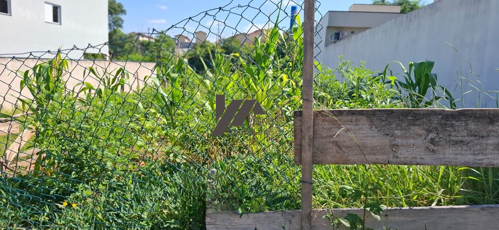 | Foto_migracao | 1