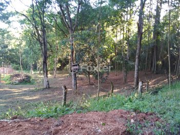 land_lot em Estrada Maria Altina, Hípica - Porto Alegre - RS